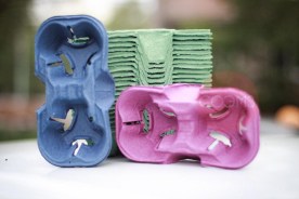 206389-odnorazovyie-dierzhatieli-stakanov-1280x768